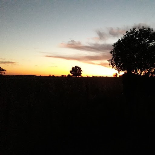 Nuit d'été